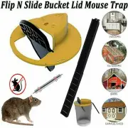 Slide Bucket Lid Mouse Trap W/ Ladder, Flip N Slide Bucket Lid Rat Trap Catcher