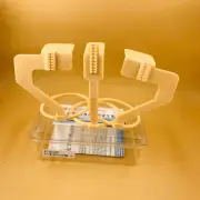HOT Dental Digital X Ray Film Sensor Positioner Holder Gift 3 pcs/set Allguest