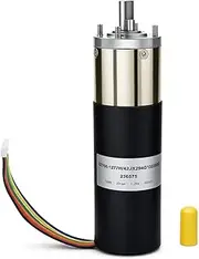 SROSANT RV in-Wall Slide-Out Motor 236575 for Lippert Schwintek in-Wall Slide System RV Slide-Out in-Wall Motor IG-42 (10mm) Motor Assembly 300:1 High Torque Gear Ratio DC 12V