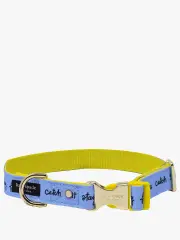 Sit Stay Fetch Collar (m/l)