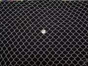 40' x 25' Golf Barrier Backstop White Diamond Mesh Nylon Netting 3/4" Mesh #7