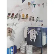 Removable Wall Mural Watercolor birds Soft pastel colors Beautiful for nurseries