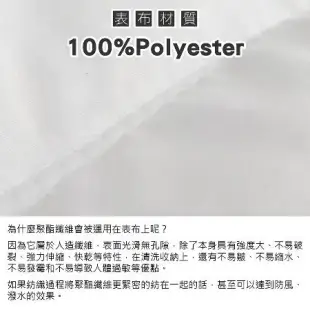 【嘟嘟太郎-日本大和防螨抗菌被(雙人)】MIT台灣製造 日本大和棉被 羽絲絨被 羽絨被