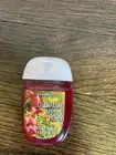 Bath & Body Works Champagne Apple Honey Antibacterial Hand Sanitizer-New