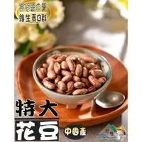 在飛比找蝦皮購物優惠-【野味食品】花豆(特大,大紅豆)(300公克/包，600公克