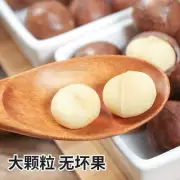 100g Casual Dried Fruits Healthy Snack, Creamy Flavor Macadamia Nuts Snacks