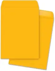 Business Source Catalog Envelope (42115)