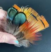 20pcs Mixed Golden Pheasant Plumage Feathers 5 of each Colour DIY Art Craft