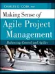 Making Sense of Agile Project Management ─ Balancing Control and Agility