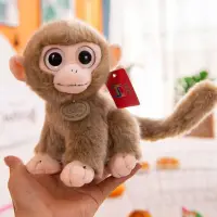 在飛比找蝦皮購物優惠-✨門市現貨✨抱枕 公仔 玩偶 娃娃 猴娃娃 金絲猴玩偶 猴子