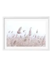 [Profile Australia] Australian Made Pampas Grass 1 Art Print A3 in White Frame