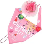 VERDANVERSE 2Pcs Dog Birthday Hat and Scarf Set Pet Costume Accessories for Birthday Parties Chic Unique Pet Party Outfit