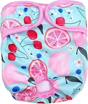 Pet Physiological Fast Absorbing Breathable Dog Sanitary Underwear Avoid Harassment Menstrual Diaper for Female Dogs (Cherry Lemon XL)