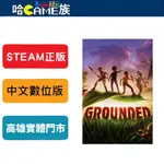 STEAM正版 PC GROUNDED 微小世界生存戰 中文版 線上遊戲模式 第一人稱或第三人稱視角進行的生存遊戲