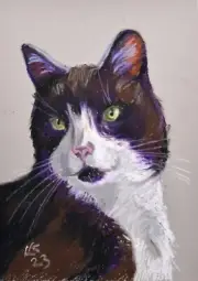 Original Cat Portrait Black and White Tuxedo Cat Hand Painted 12x8"