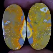 Natural BumbleBee Jasper Matched Pair 42.10 Cts. Cabochon Gemstone For Earring