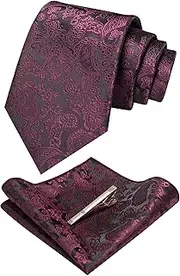 [JEMYGINS] Gracious Paisley Elegant Men's Tie and Pocket Square with Tie Clip Sets