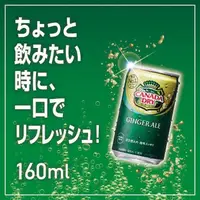 在飛比找蝦皮購物優惠-【象象媽咪】日本CANADA DRY 薑汁汽水 薑汁風味汽水