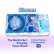 72 Sheets Total Pocket Tissues Wood Soft Facial Tissue