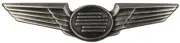 USA 3000 - Flight Attendant Wing