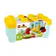 LEGO 10984 有機果菜園