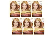 6x L'Oreal Paris Excellence Age Perfect Hair Colour 7.32 Dark Gold Rose Blonde