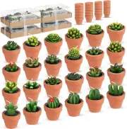 Shihanee 24 Pack Succulent Candles Cactus Tealight Candles Bulk with Terracotta