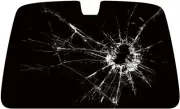 Cybertruck Demo Windshield Sunshade for Tesla Model 3 with Suction Cups