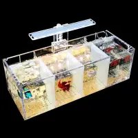 在飛比找蝦皮商城精選優惠-台灣熱銷 斗魚缸 繁 殖孵化 隔離盒 免換水桌面 小型亞克力