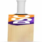 DSC Krunch Pro English Willow Cricket Bat for Mens, Size-Mens | Material: Woo...