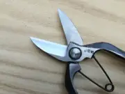 Tobitsuka Scissors Factory Hisho Double-edged Pruning Shears 200mm From Japan