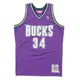 NBA 球員版球衣 Ray Allen 2000-01 公鹿 紫