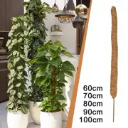 Deformable Plant Climbing Frame Coconut Palm Sticks Gardening Support 5 Sizes