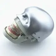 Dental Simulator Manikin Phantom Head practical exercises teaching Head model