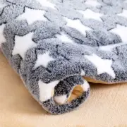 Pet Sleeping Mat Dog Bed Cat Bed Soft Fur Thickened Blanket Pad Velvet Household