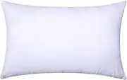 MIULEE Throw Pillow Insert Premium Pillow Stuffer Sham Rectangle for Decorative Cushion Bed Couch Sofa 12x20 Inch