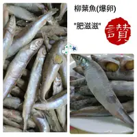 在飛比找蝦皮購物優惠-🌈大爆卵柳葉魚300g 約14隻 肥滋滋喜相逢