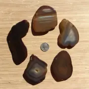 1lb Lot of 5 Geode Rock Slices Thick Cut Agate Crystals Polished Banded Stones
