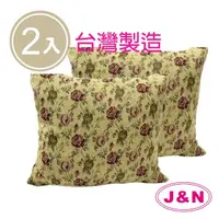 在飛比找momo購物網優惠-【J&N】蘿絲彈性抱枕60*60玫瑰綠綠色(2入/1組)