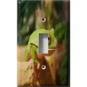 SnazzySwitch Fat Frog Decorative Light Switch Plate Cover