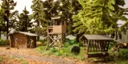 Noch 66806 Ho Scale Laser-Cut Series: Forest Decoration Set - Build