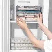 Refrigerator Crisper Dumpling Storage Freezer Dumpling Freezer Containers7523