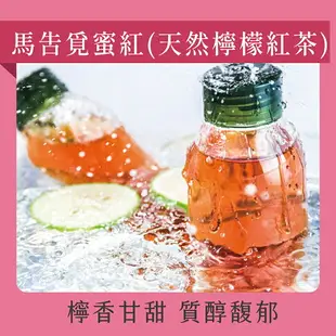 發現茶【30秒冷泡】 天然檸檬紅茶(馬告覓蜜紅)(20入茶包)