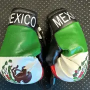 Mexico Flag Mini Gloves Boxing Car Mirror Rearview Hanging Auto Deco