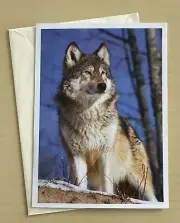 Wolf Blank Note Greeting Card + Envelope