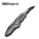 Roland AE-05 電吹管 薩克斯風 Roland Aerophone GO 數位 薩克斯風 AE 05 Roland 電吹管 / 電子薩克斯 AE 05 / 兩年保固