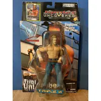 在飛比找蝦皮購物優惠-JAKKS PACIFIC 美國職業摔角 WWE TRIPL