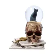 Lisa Parker Spirits of Salem Snow Globe Gothic Large Skull Notebook Ornament