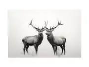 Stags Canvas Print