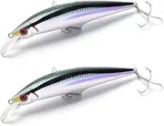 2 Pcs 30g 95mm Minnow Sinking Fishing Bait Hard Plastic Trout Bait Artificial Bait Fishing for Pike Bass Crankbait Sinking Lures